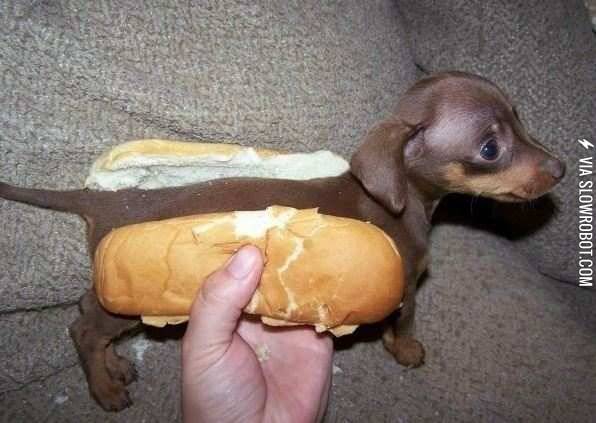 Hot+dog.