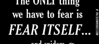 Fear%26%238230%3B+and+spiders.