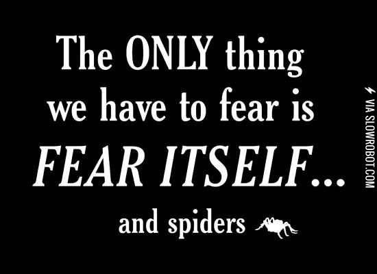 Fear%26%238230%3B+and+spiders.