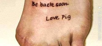 Love%2C+Pig.
