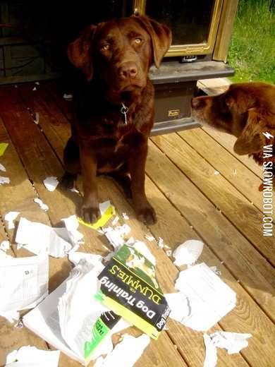 Someone%26%238217%3Bs+going+to+need+another+book.