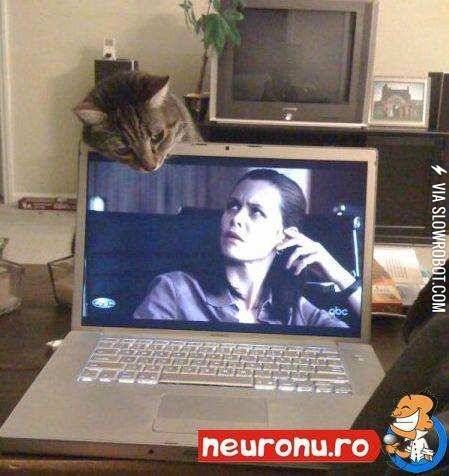 What%26%238217%3Bre+you+looking+at%3F