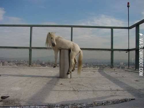 We%26%238217%3Bre+not+really+sure+either%26%238230%3B