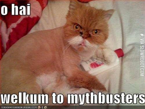 Welkum+to+Mythbusters.