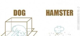 Reactions+to+being+placed+inside+a+box.