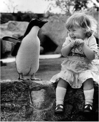 Oh+penguin%2C+you+so+silly.