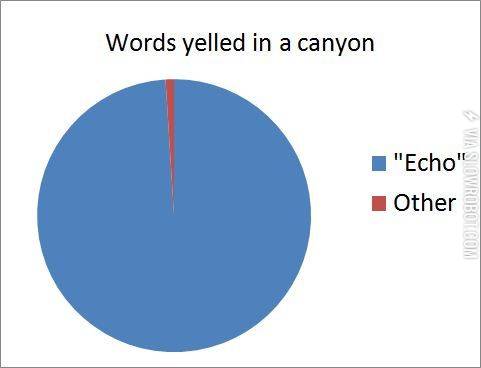 Words+yelled+in+a+canyon.