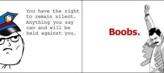 You+have+the+right+to+remain+silent.