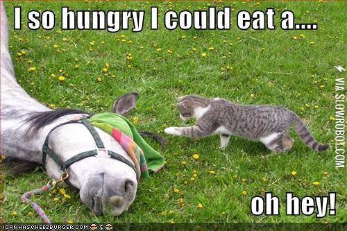 I+could+eat+a%26%238230%3B