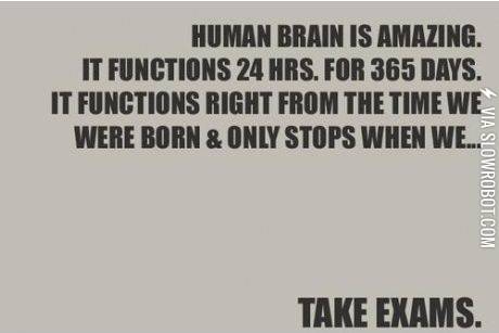 The+brain+is+amazing%26%238230%3B