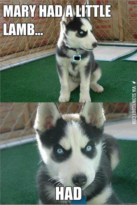 Mary+had+a+little+lamb%26%238230%3B