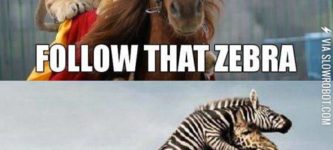 Follow+that+zebra%21