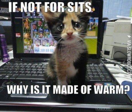 Why+is+it+made+of+warm%3F