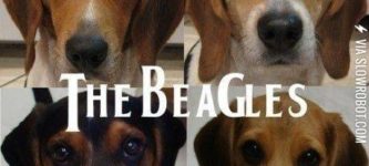 The+Beagles.