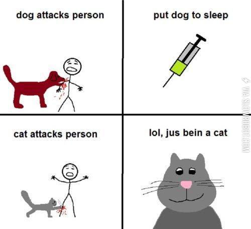 Dogs+vs.+cats.