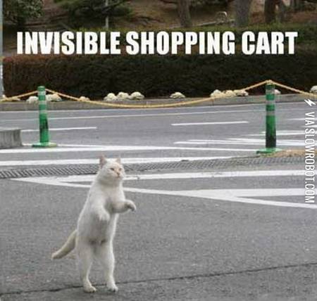 Invisible+shopping+cart.