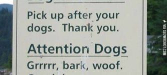 Attention+dogs.