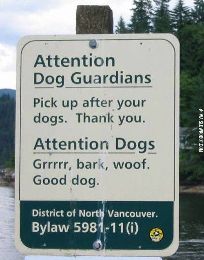 Attention+dogs.