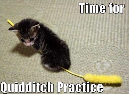 Time+for+Quidditch+practice.