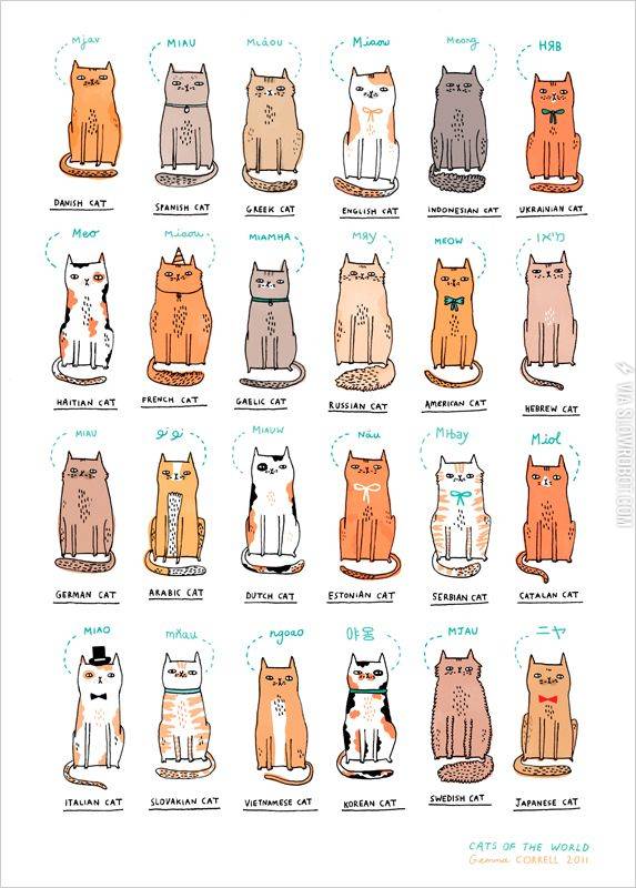 Cats+of+the+world.