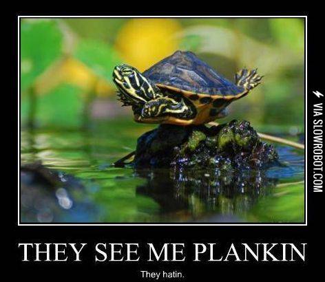 When+I+plank%2C+you+plank%2C+we+plank.