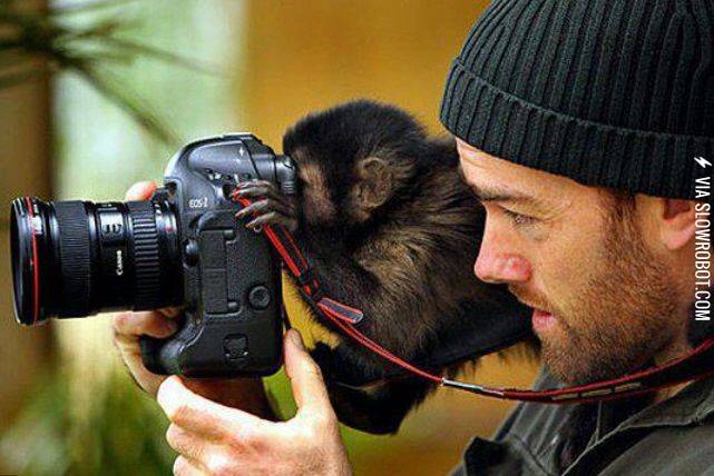 I+don%26%238217%3Bts+sees+it.