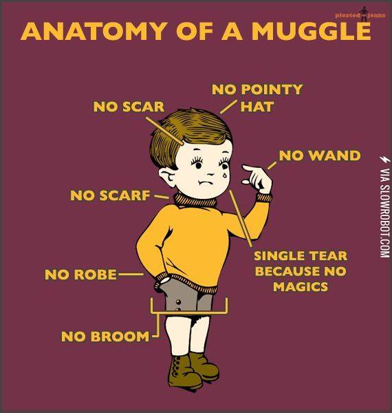 Anatomy+of+a+muggle.