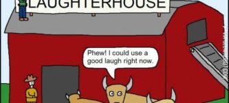 Laughterhouse.