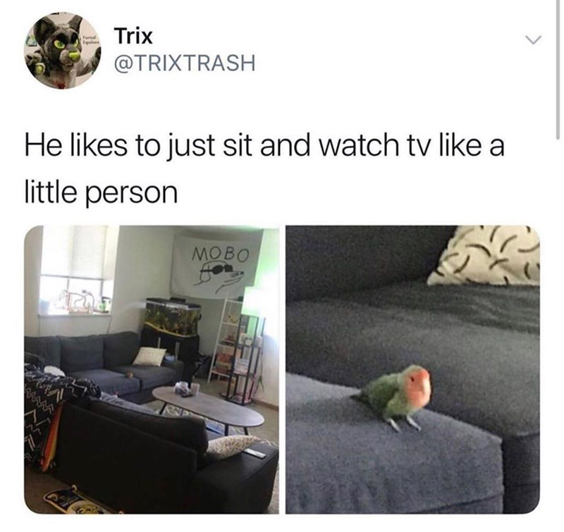 he%26%238217%3Bs+watching+his+stories