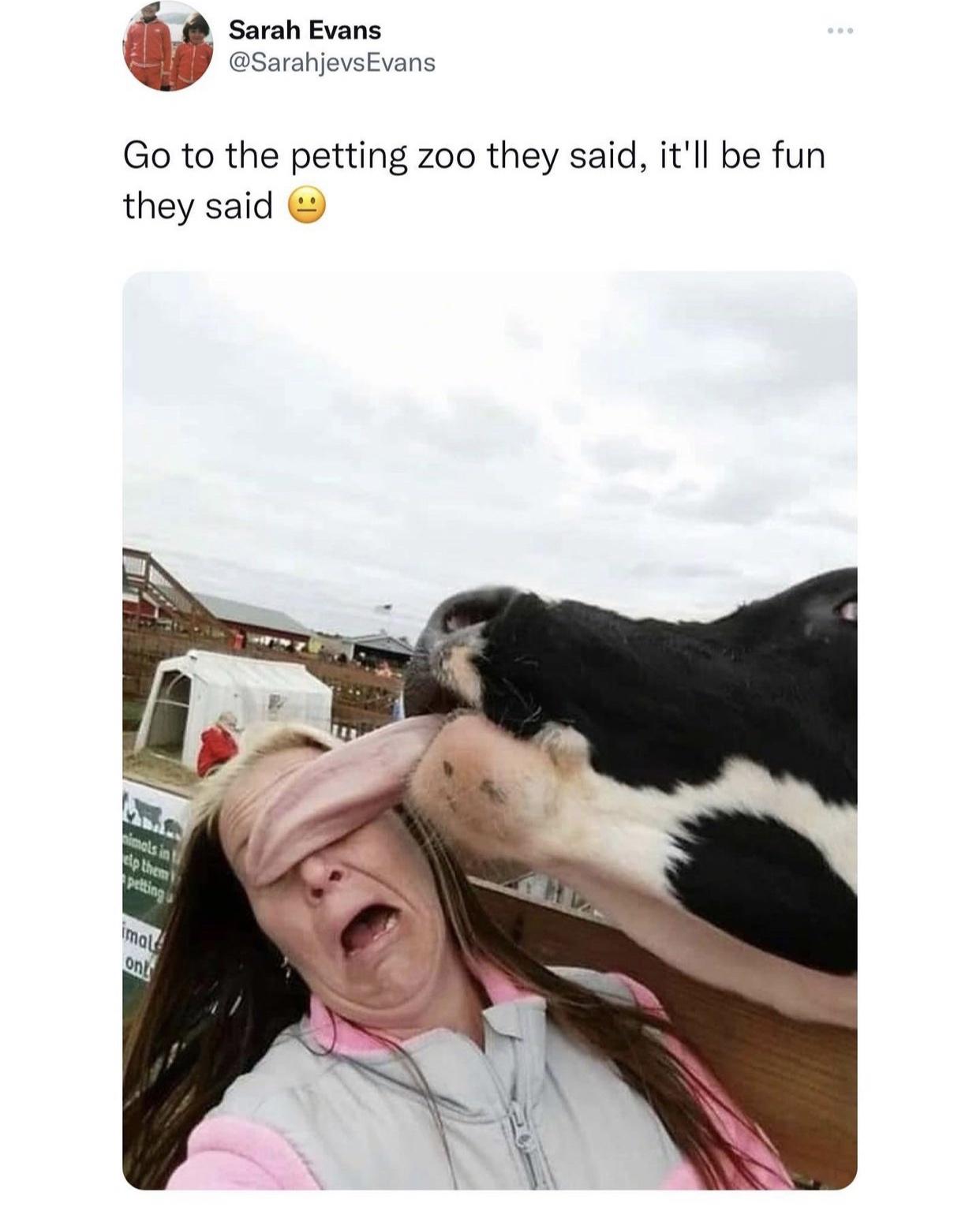 moo