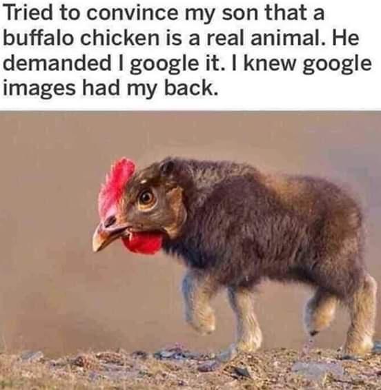 google+images+never+fails