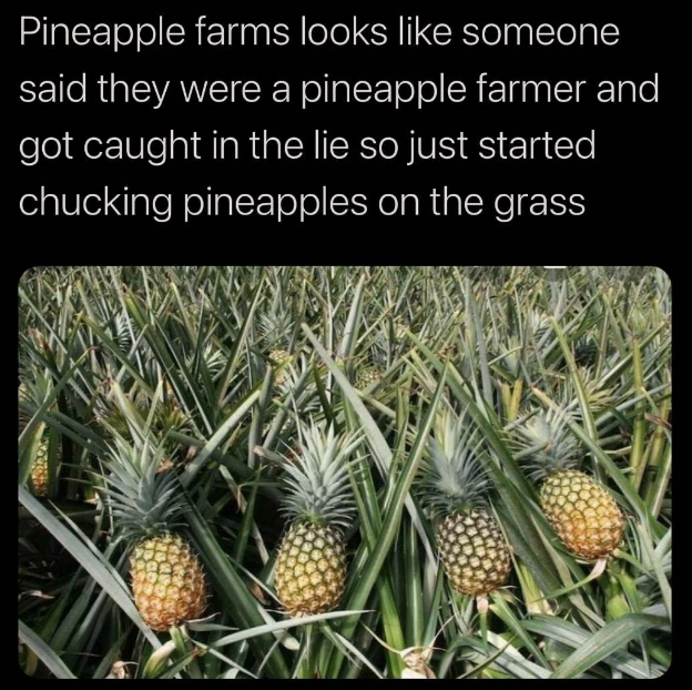 gotta+keep+the+illusion+alive