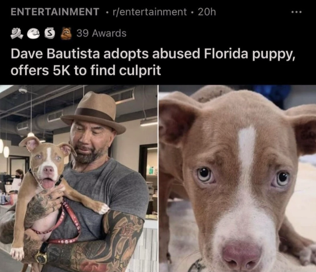 a+new+home+and+revenge