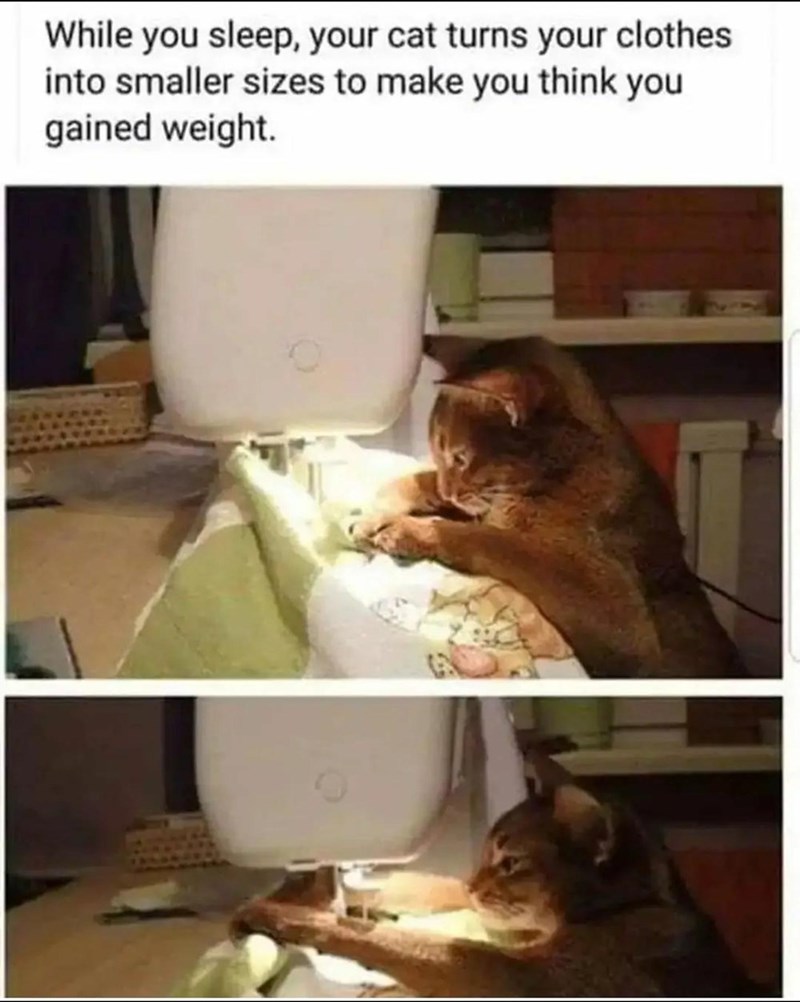 so+I%26%238217%3Bm+not+just+getting+fatter%21