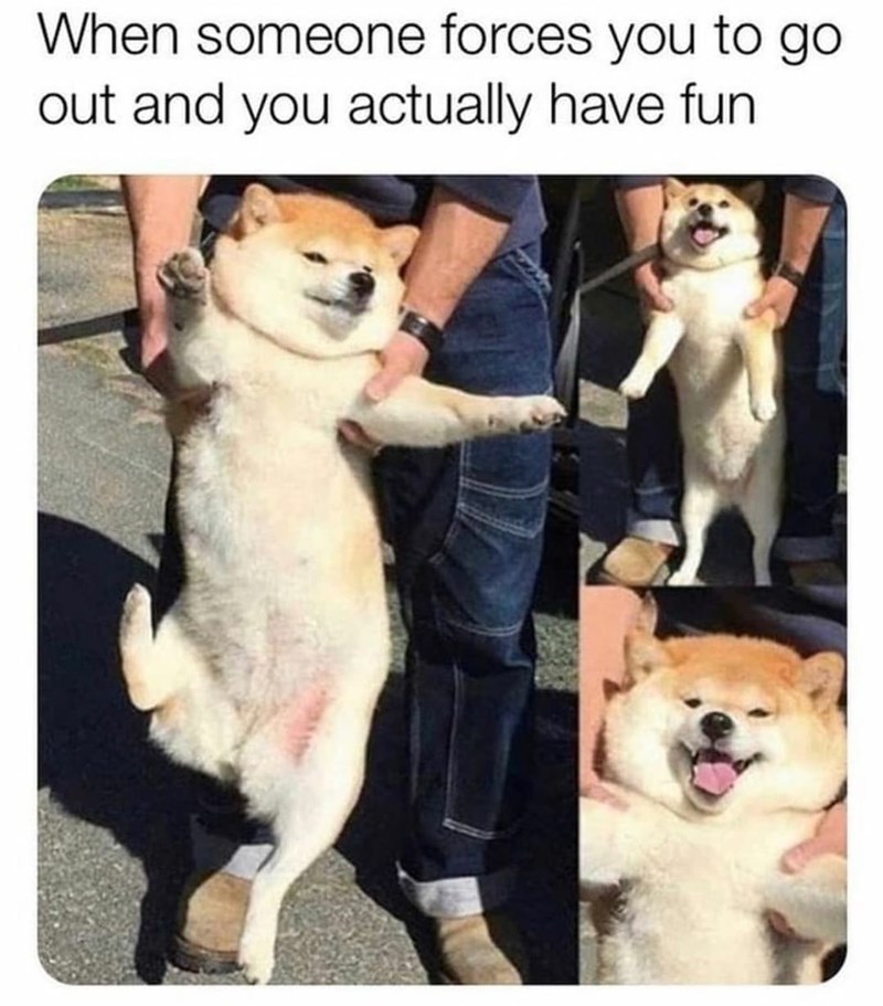 look+ma%2C+i%26%238217%3Bm+having+fun