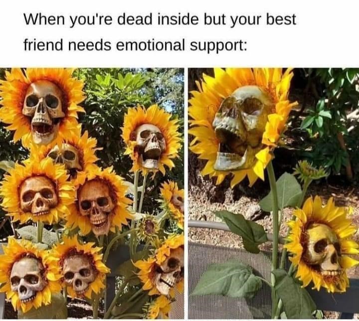 i%26%238217%3Bm+here+for+you