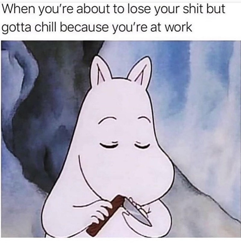 i%26%238217%3Bm+a+professional