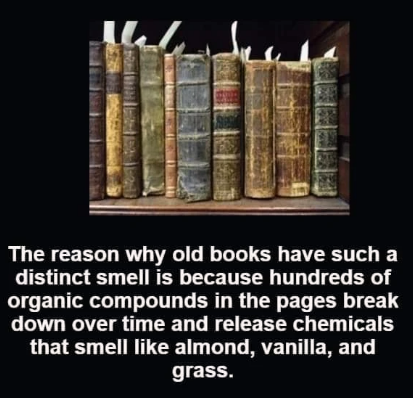 i+love+the+smell+of+old+books