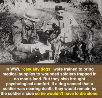 i%26%238217%3Bm+crying