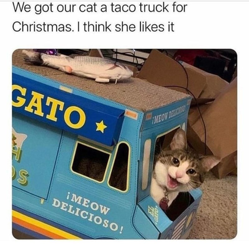 taco+cat%21
