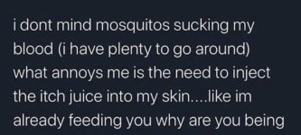 mosquitos+has+no+respect