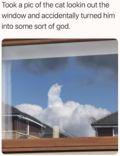cat+god