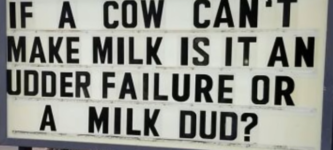 udder+failure