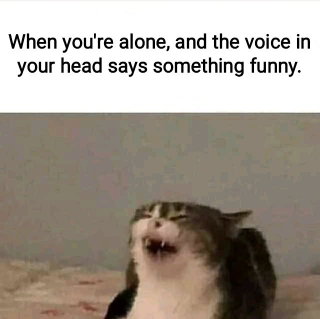 that+guy+always+knows+how+to+make+me+laugh