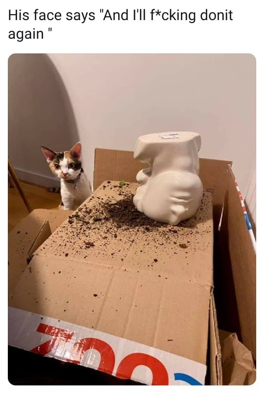 i+will+never+go+out+in+public+again