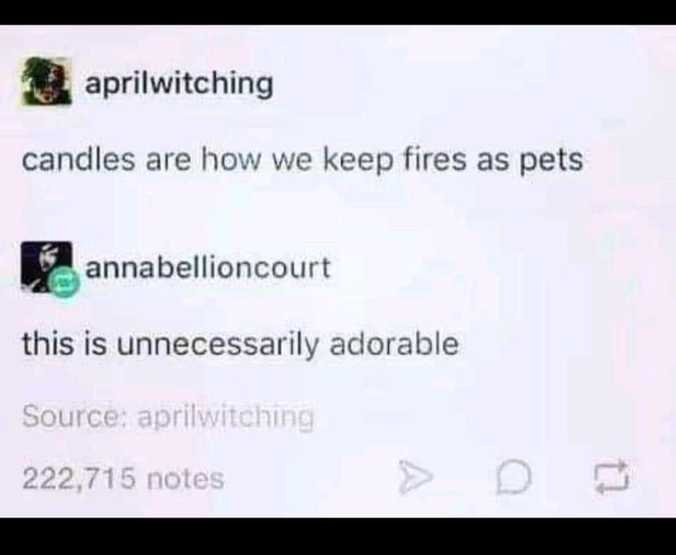 fire+makes+the+best+pet