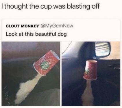 there%26%238217%3Bs+a+dog+in+that+cup%21
