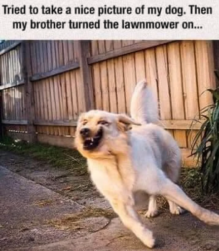 classic+brother+move