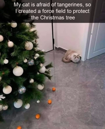 the+ultimate+defense