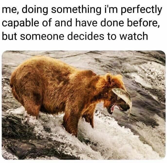 please+don%26%238217%3Bt+watch+me+do+things